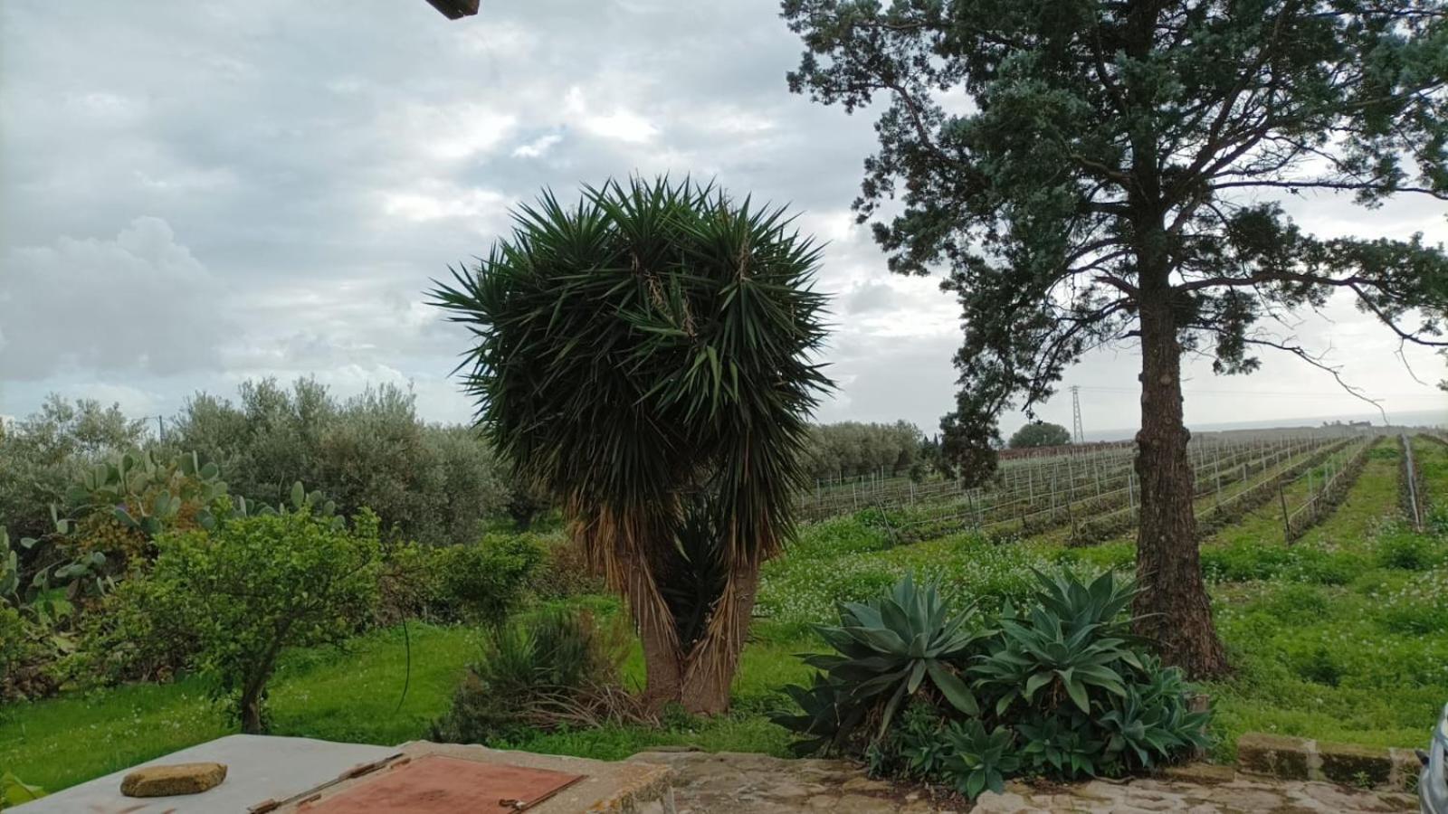 Casa Bouganville Villetta Tra Le Vigne E Il Mare Menfi Εξωτερικό φωτογραφία
